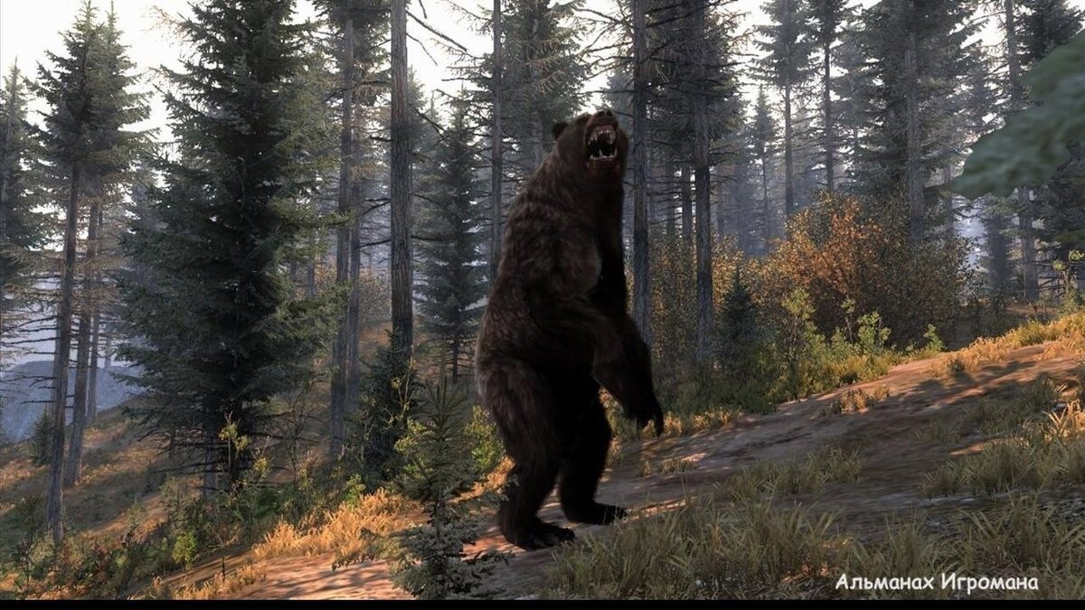 Кадр из игры Cabela's Big Game Hunter Pro Hunts. Охотимся на медведя