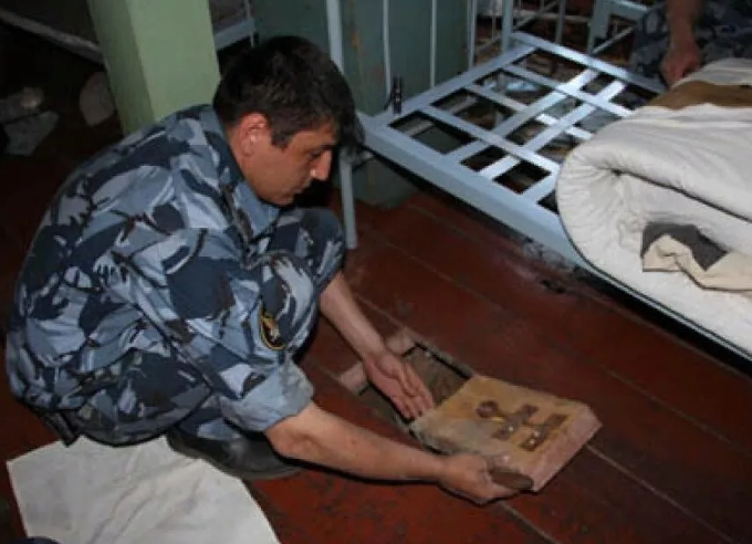 Виды курков