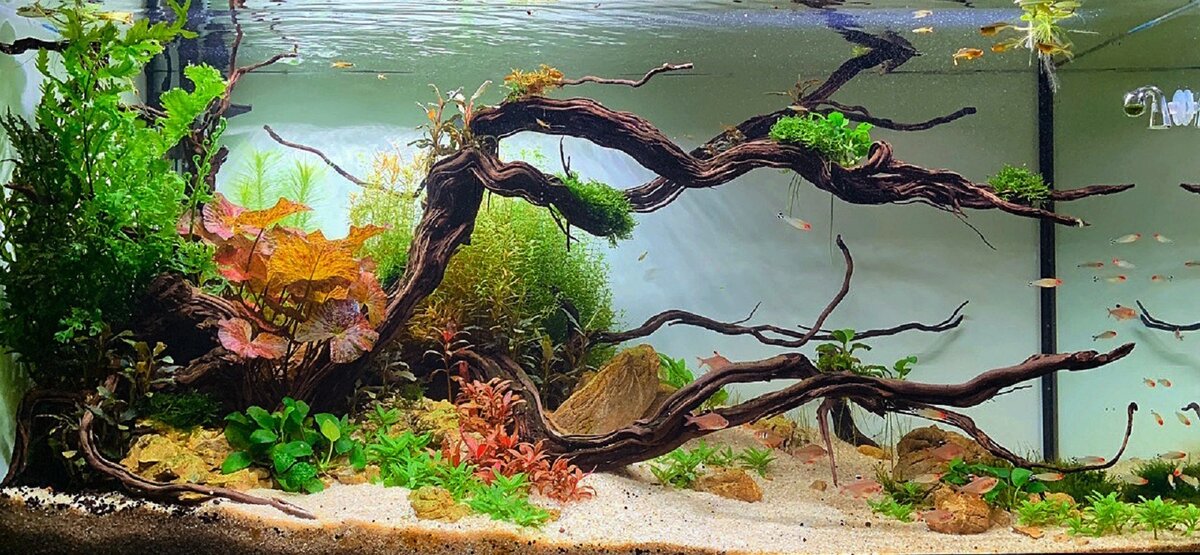 Аквариум на 300 литров