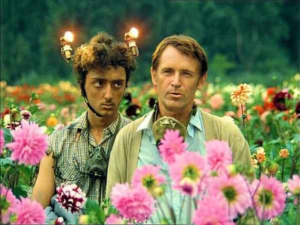 (Яндекс.Картинки)