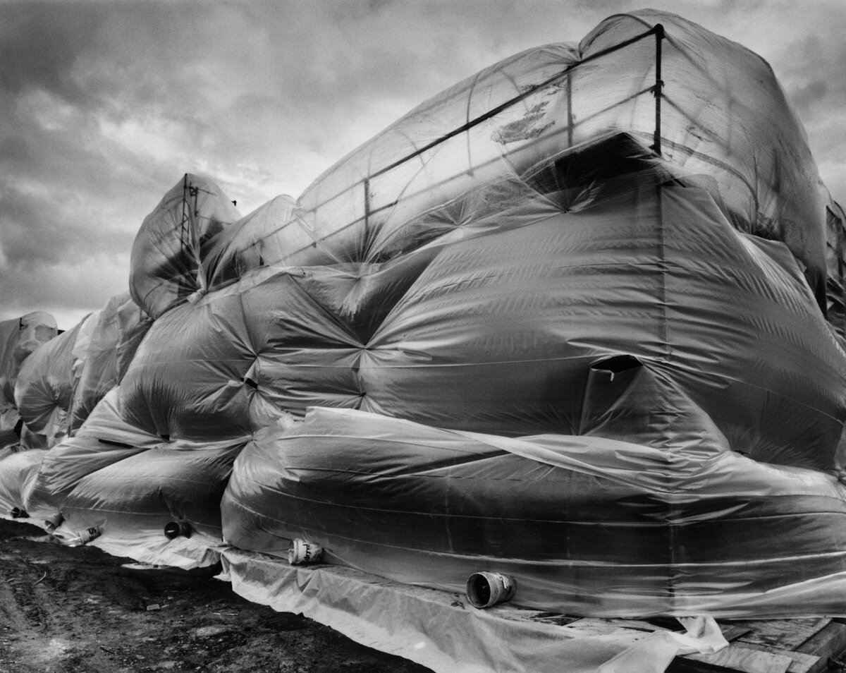Фотограф Лорен Нельсон. Впервые материал «Какое надувательство!» был опубликован в журнале Esquire в 2008 году.