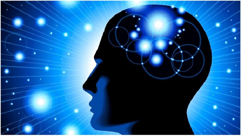 Источник: https://goldenfront.ru/media/article_images/mind.png.824x0_q85.jpg