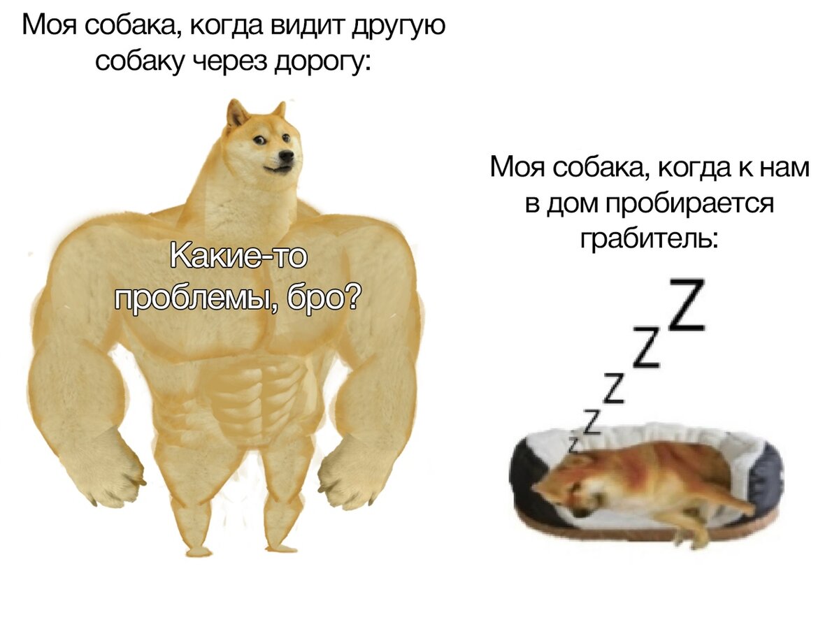 собаки они такие ( нет ) 