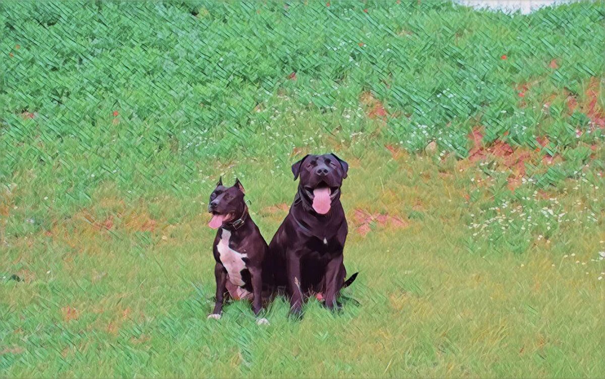 Фото из личного архива