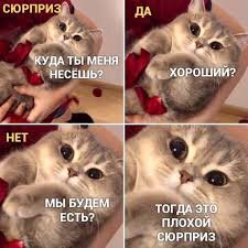 Подпишись😉