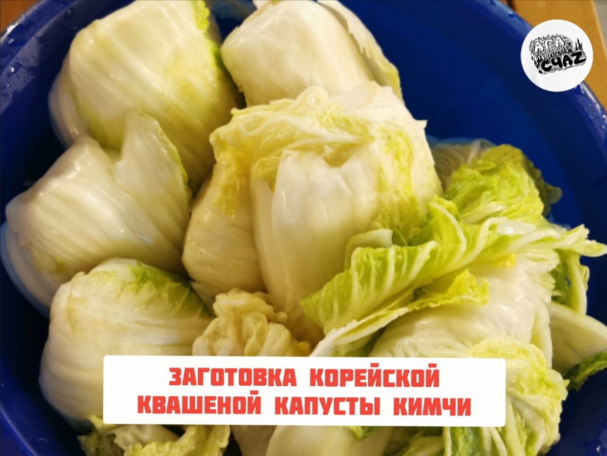 Кимчи по рецепту корейского блогера, часть 2 (заготовка) 🥬🌶 | Ага,  счаz... | Дзен