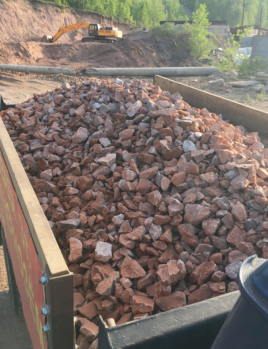 красный скальник в кузове машины