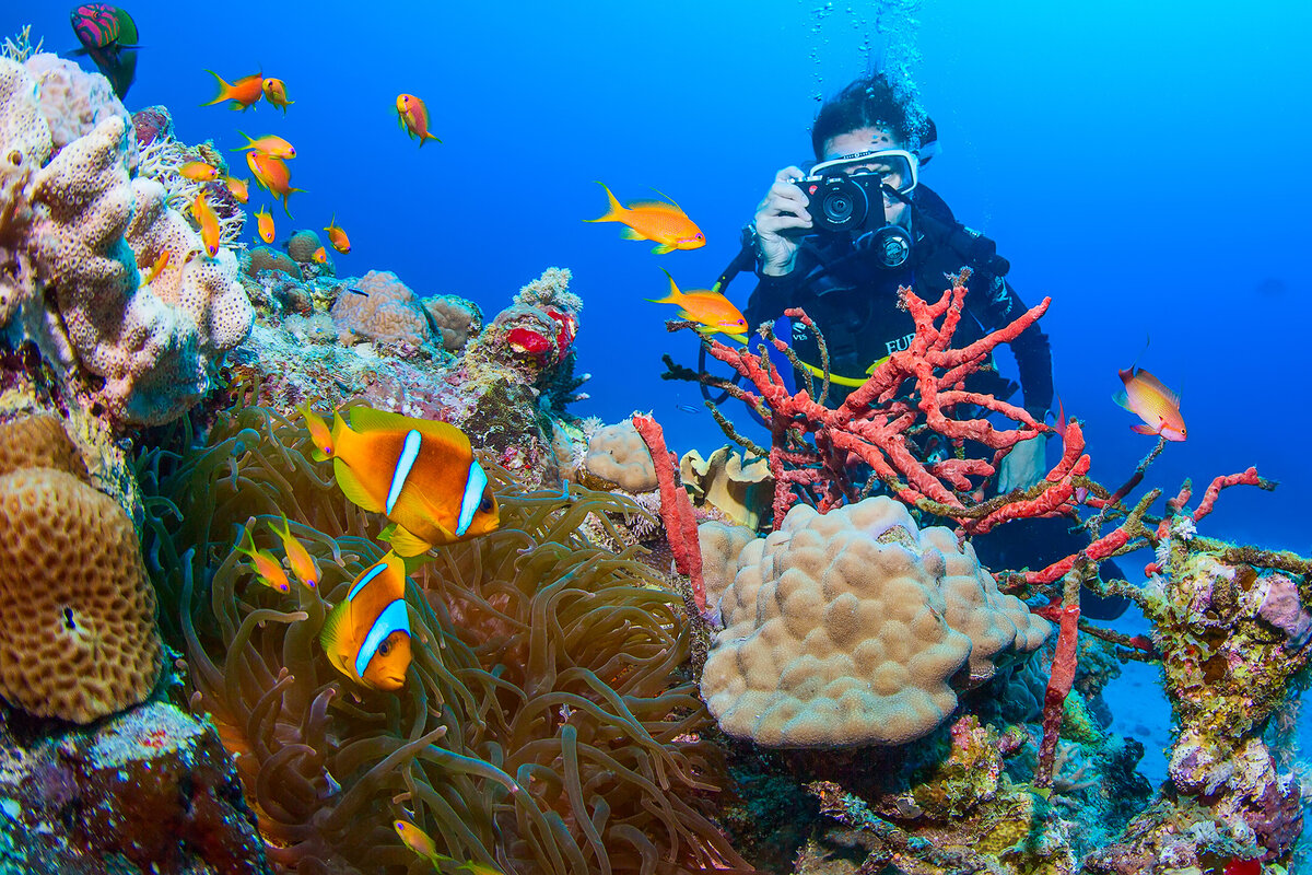 Фото: Андрей Сидоров @photofreediver