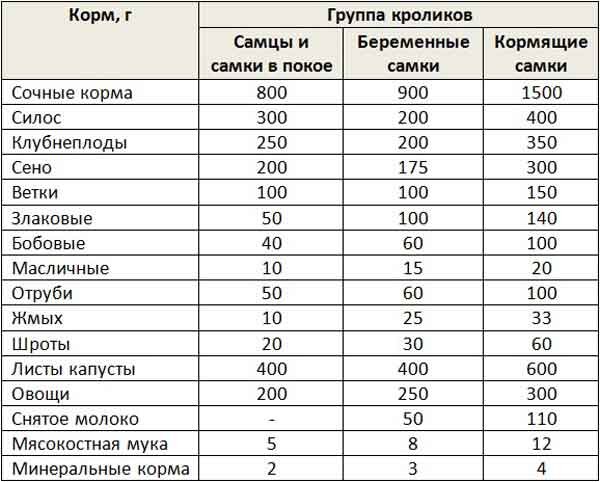 Правила кормления кролика: важные моменты по питанию и рациону
