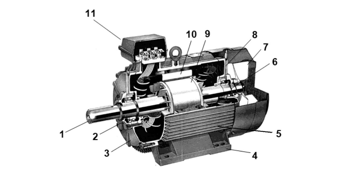 Аир устройство. Асинхронный электродвигатель с короткозамкнутым ротором в разрезе. Трехфазный асинхронный двигатель с короткозамкнутым ротором. Ротор асинхронного двигателя в разрезе. Асинхронный короткозамкнутый электродвигатель.