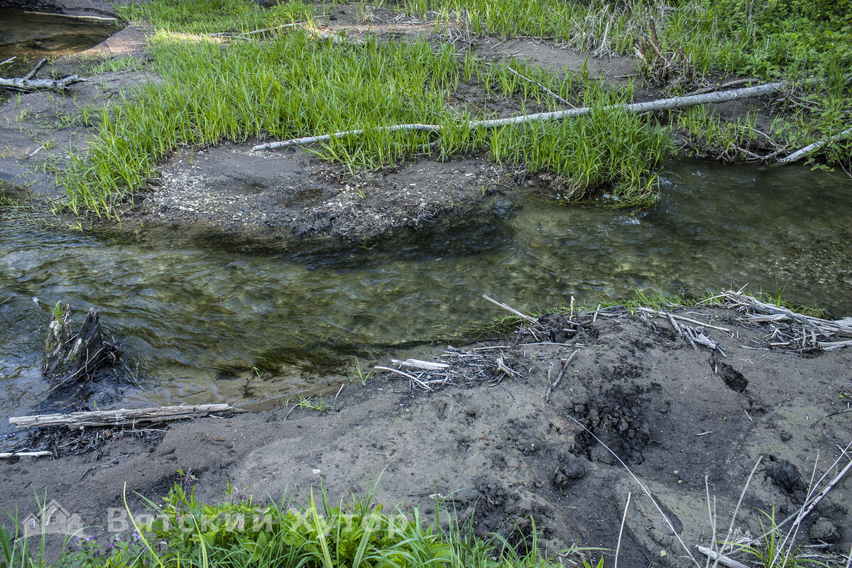 Речка, текущая за домом