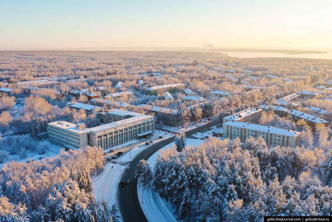 D yjdjcb bhcrt. Новосибирск городок Академ. Академгородок научный центр. Новосибирск наукоград Академгородок. Академия городок в Новосибирске.