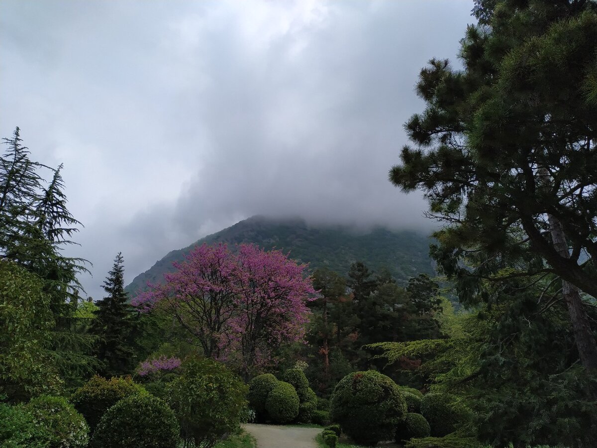 Фото из личного архива