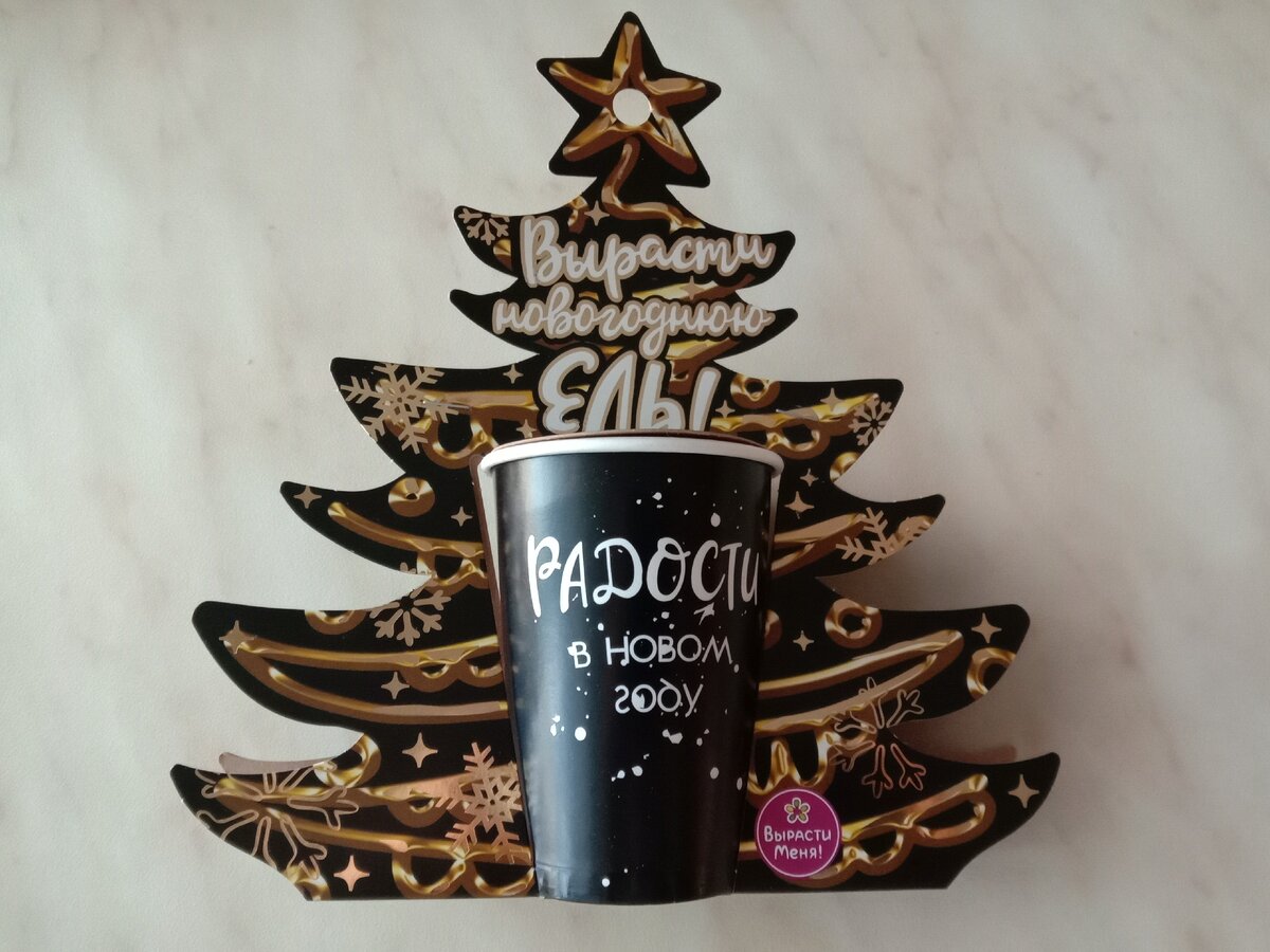 Фото автора. Наша покупка