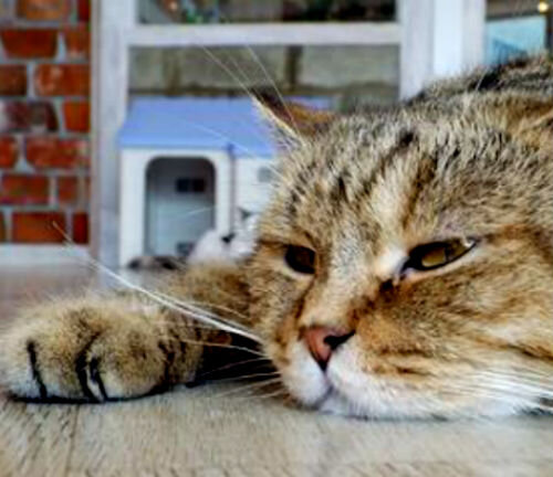 Более высокий уровень энергии