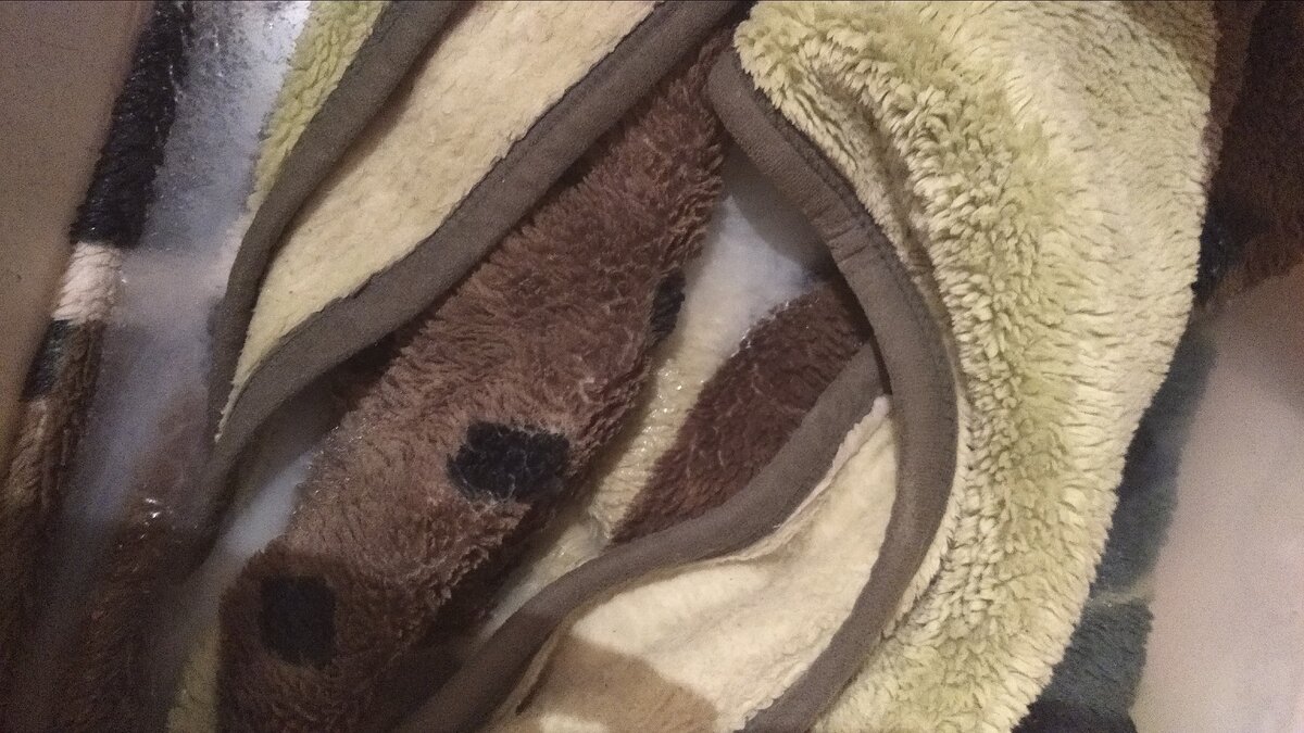 Личное фото.