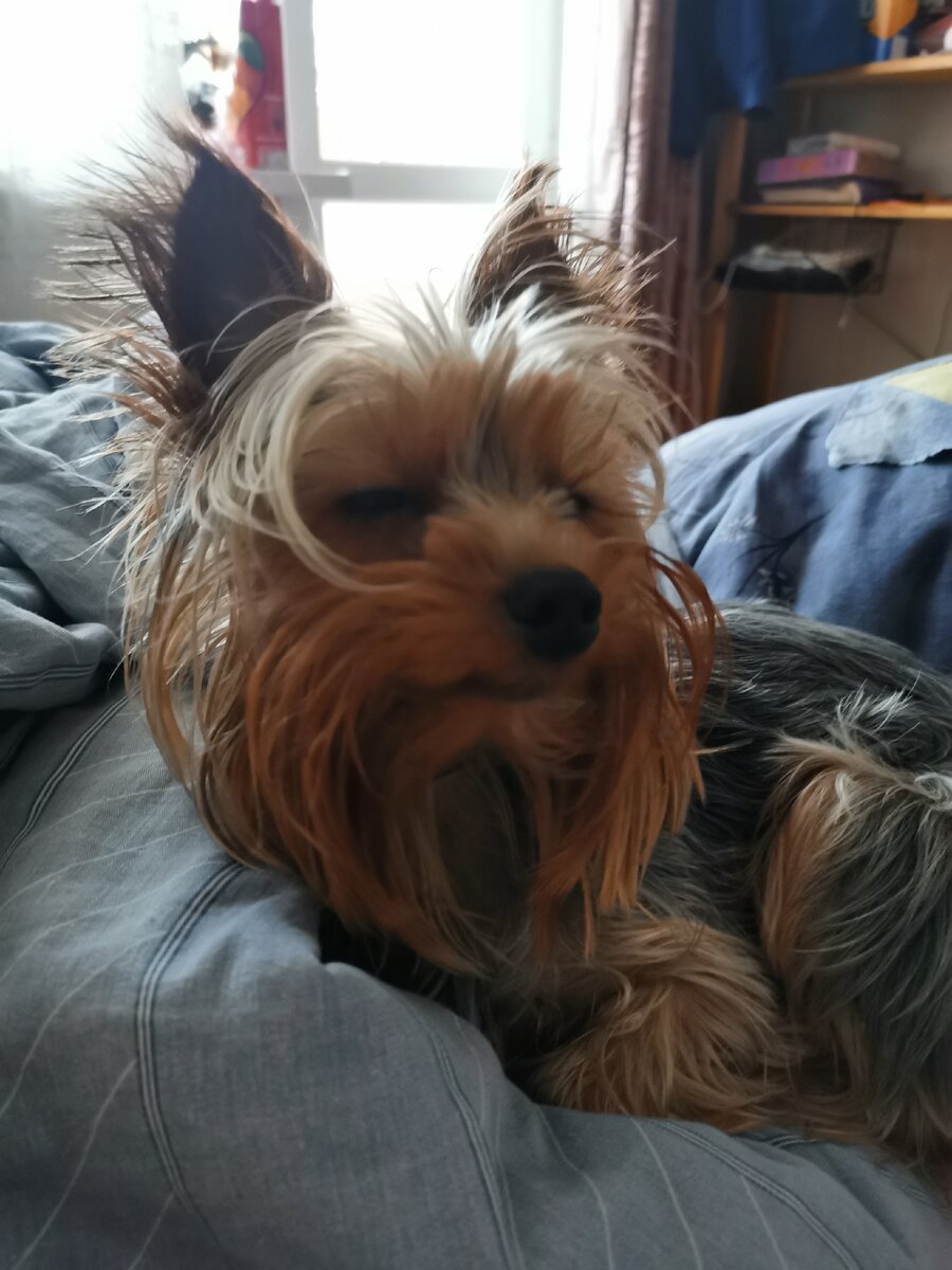 Чего? Уже вставать? А который час? 