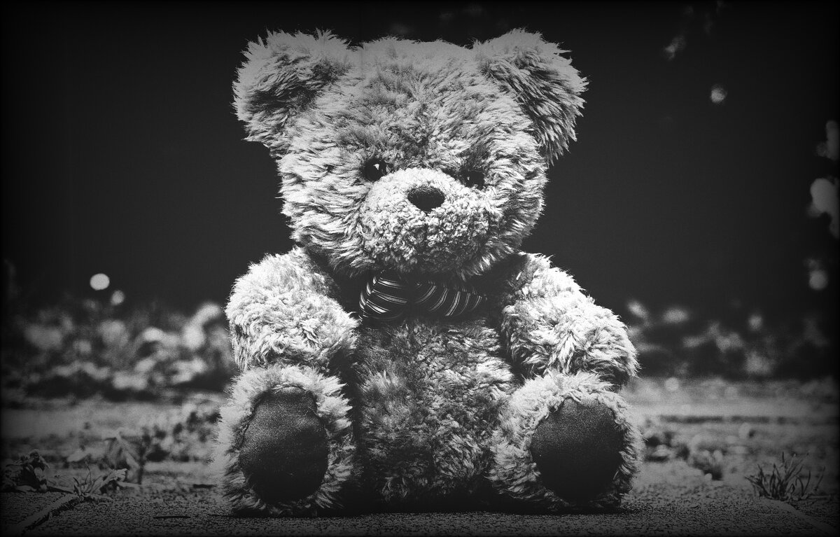 Фото взято с открытых источников 