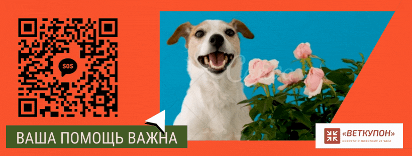 ПОМОГИТЕ ВЕТКУПОН