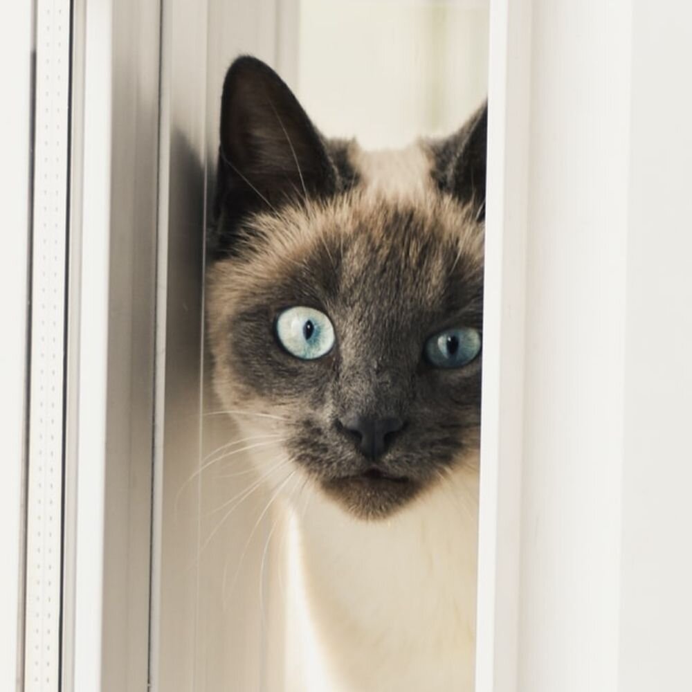 Подумайте ещё раз!