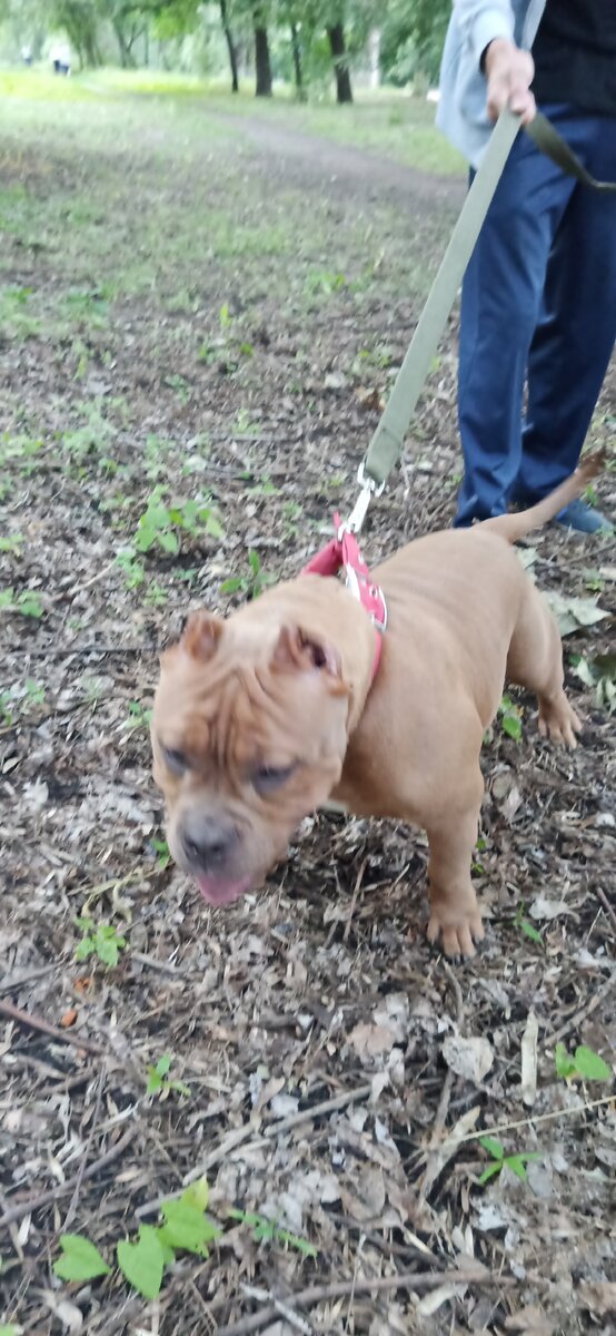 Фото автора