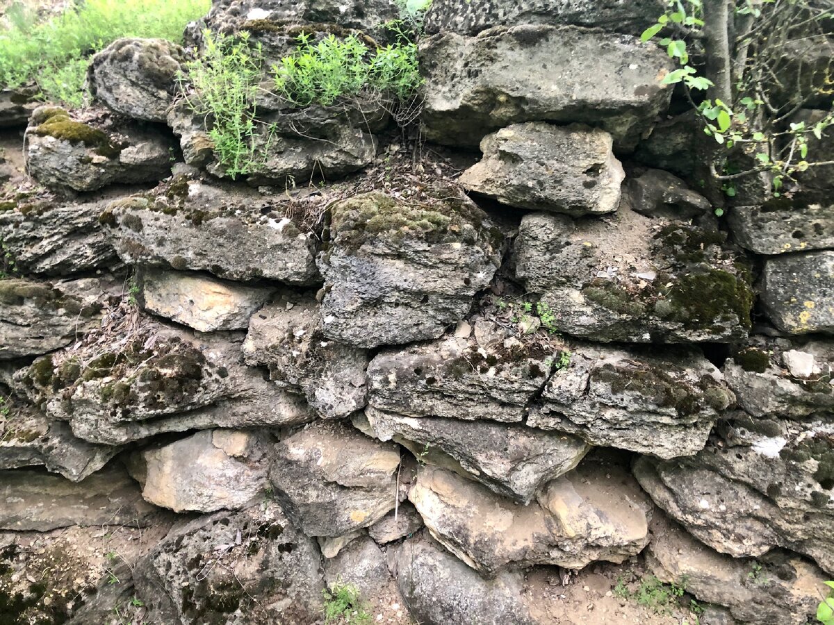 Остатки крепости. Фото автора. 