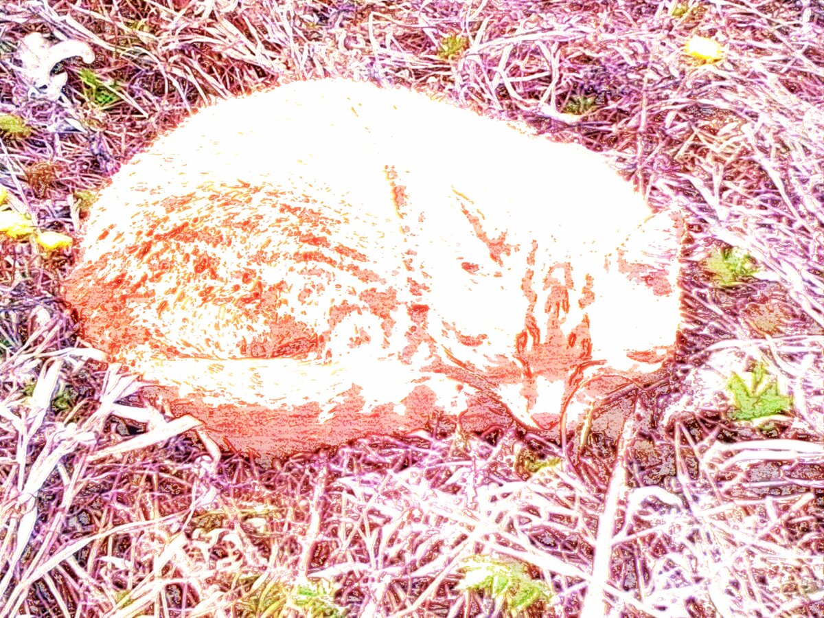 Изображение взято с Яндекс. Картинки