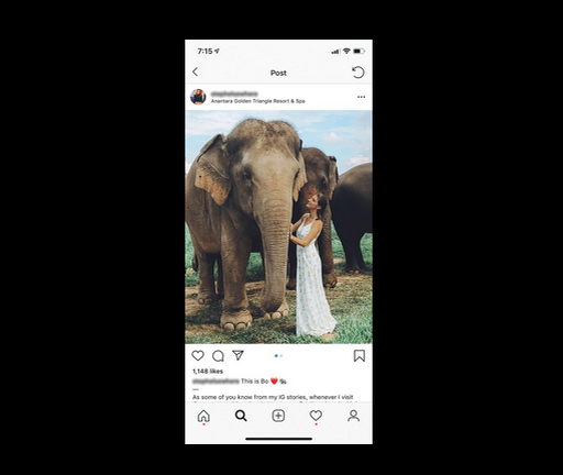  Фотосессии с дикими животными, которые содержатся в неволе, пользуются неизменным успехом в соцсетях. 