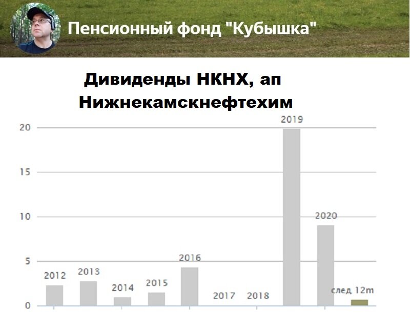 Дивиденды НКНХ, акция привилегированная, исторический график выплат за 10 лет