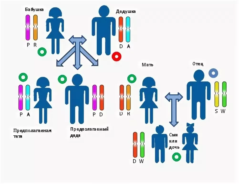 Тройное отцовство. Родство по ДНК. Генетические родственники. Двоюродное родство по ДНК. Установление родства.