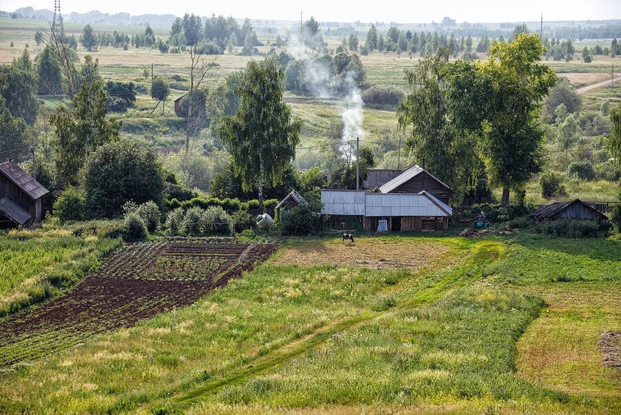 Яндекс картинки