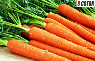Как сожать и выращивать морковь