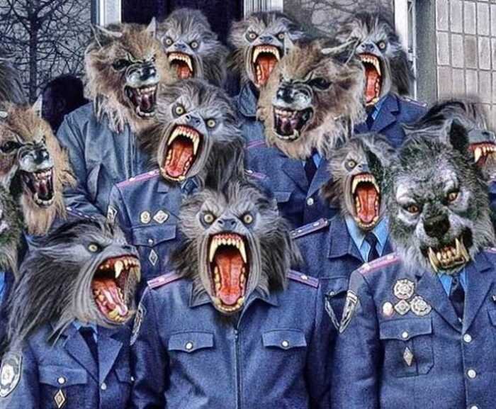 Яндекс.картинки