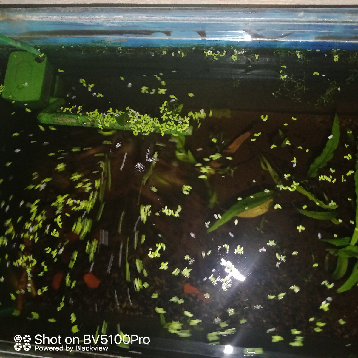 Космические тренировки проходят под водой для создания эффекта невесомости. Фото автора