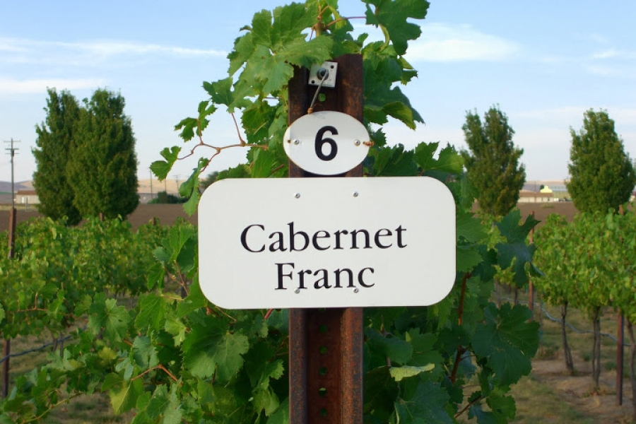 Столб у виноградника. Фото процитировано из https://thesommelierchef.com/article/new-wine-trends-cabernet-franc