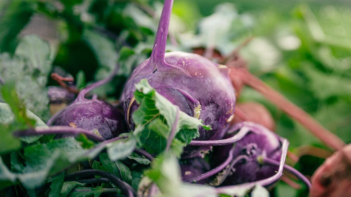 Источник: pexels.com