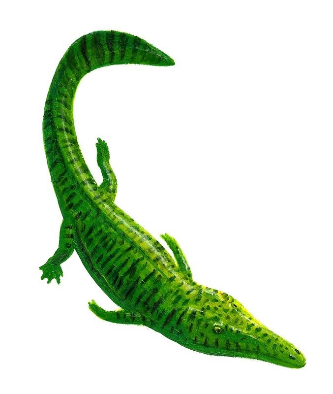 Полосатый кашмирозавр