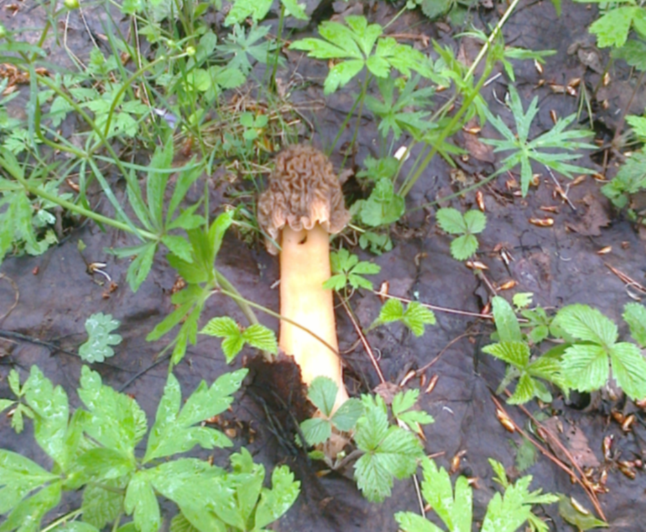 Автор фото: Костян Варнаков