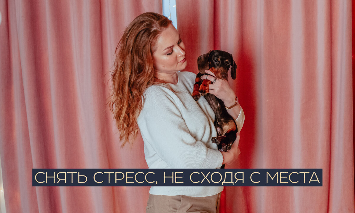 Снять стресс, не сходя с места | Продуктивность от нейробиолога | Дзен