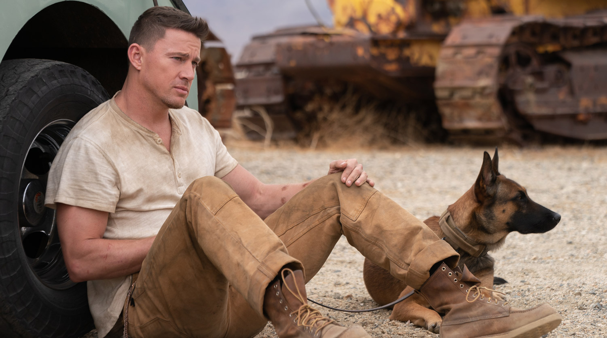 Кадр из фильма Dog. Режиссеры: Рид Каролин, Ченнинг Татум. Оператор: Ньютон Томас Сигел. Производство: CAA Media Finance, FilmNation Entertainment, Free Association, Metro-Goldwyn-Mayer (MGM). Показ в России: Парадиз