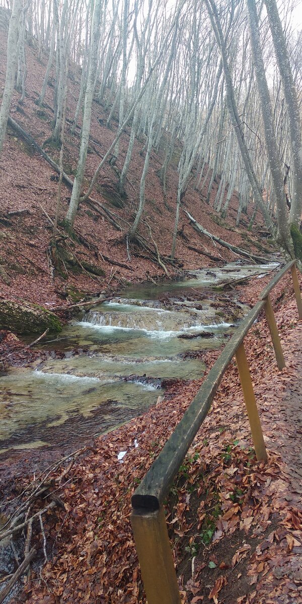 Река после таяния снега полноводна как никогда