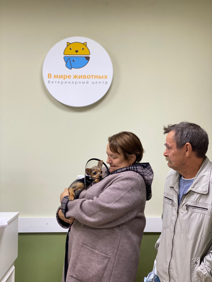 Собака Кнопка