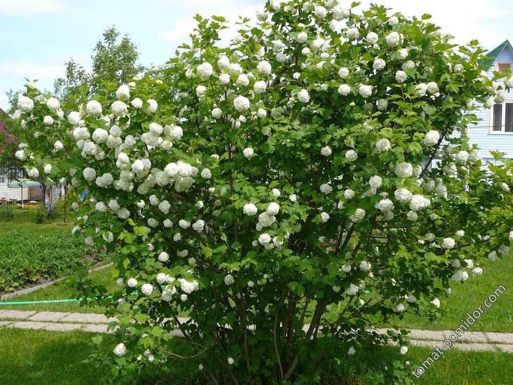 Бульденеж   https://vk.cc/ccfNJE 
