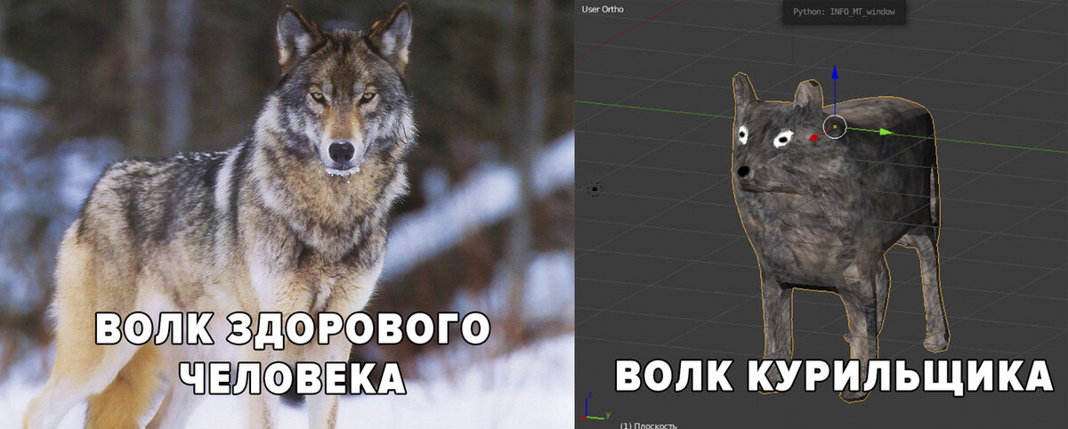 Картинка с волком мем