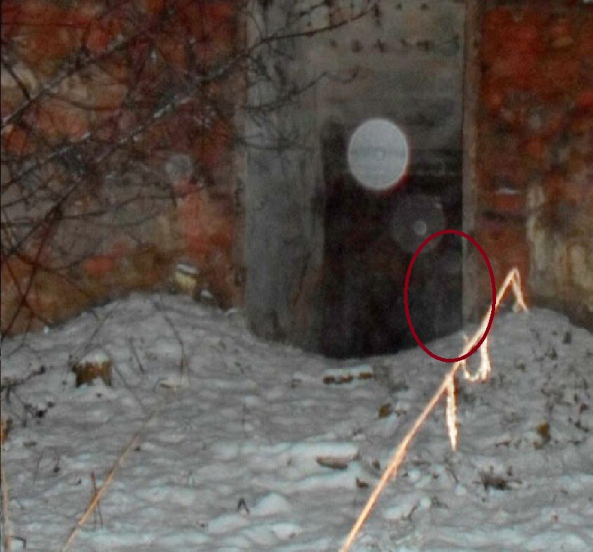      Орбы способны  менять форму из сферической в призрачную дымку похожую на очертания лиц и даже фигуры из дымки в полный человеческий рост. Эти явления вы можете увидеть на фото выше , если немного полистать фото галереи . 