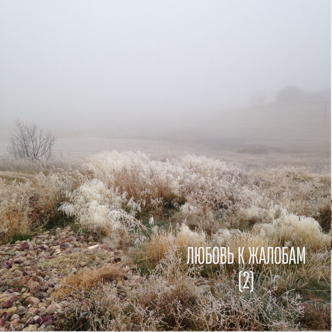 Продолжение статьи от 05\05\2022