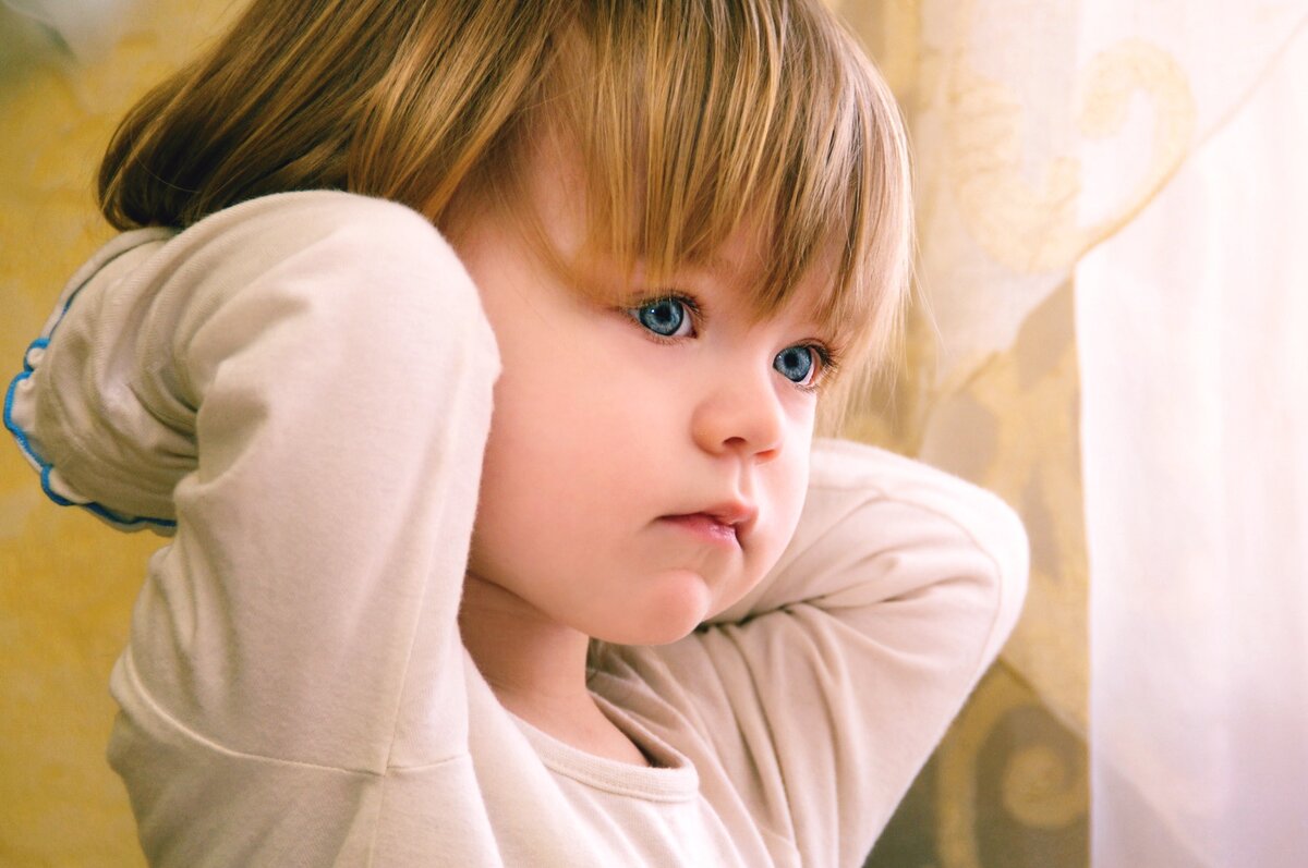 Фото из открытых источников Яндекс