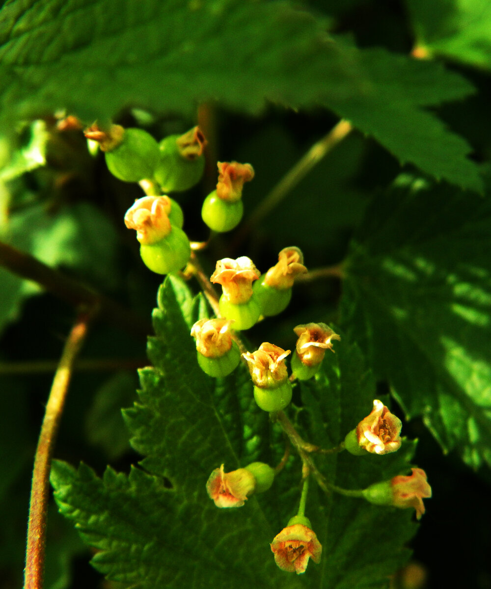 фото автора канала