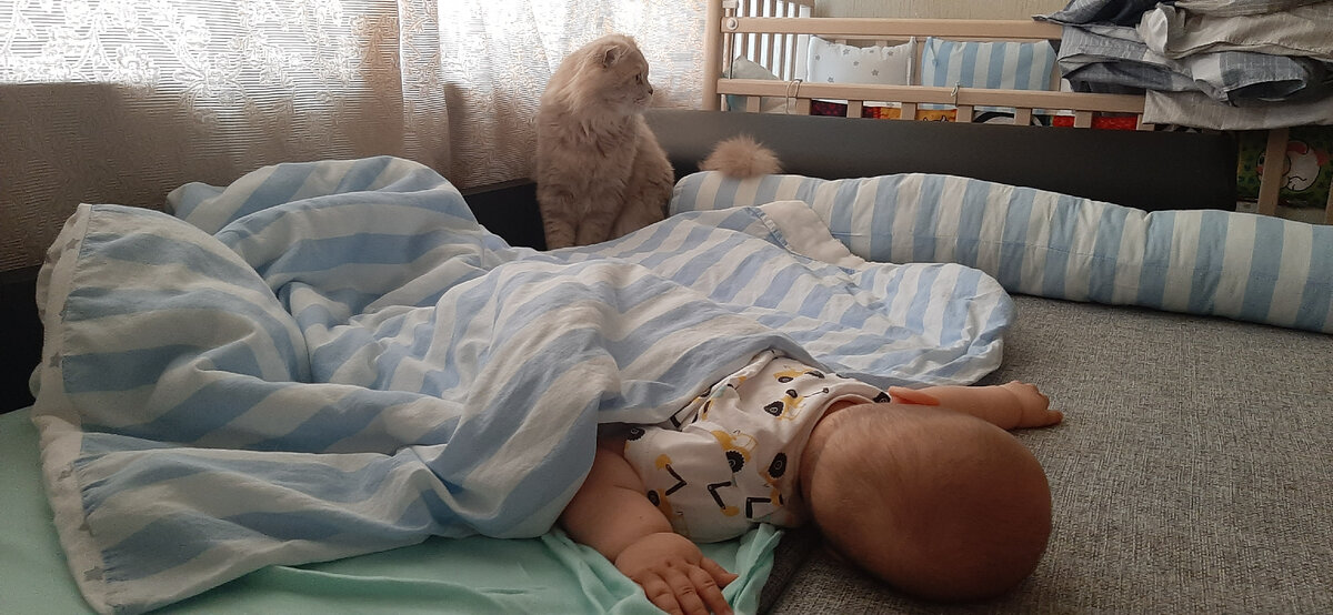 Кот охраняет сон малыша