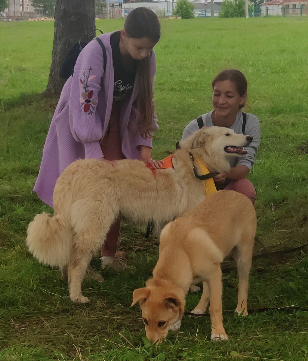 Обнимашки и только обнимашки 